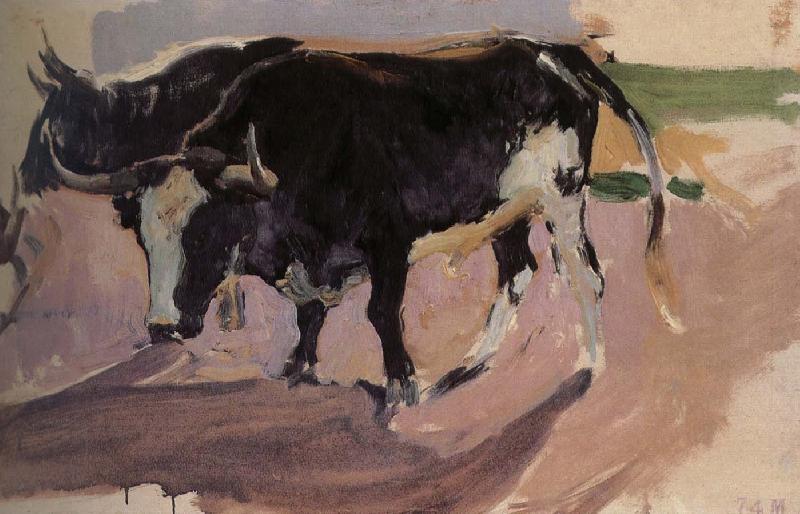 Joaquin Sorolla Bull Project oil painting image